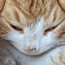 황대성의 프로필 사진