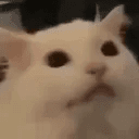 조준희의 프로필 사진